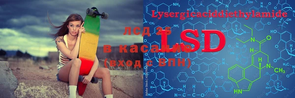 прущие грибы Аркадак