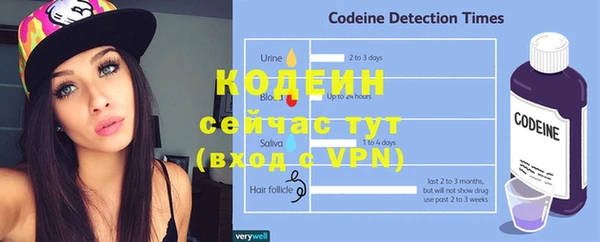 прущие грибы Аркадак