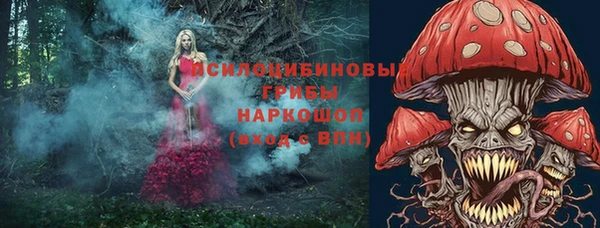 прущие грибы Аркадак
