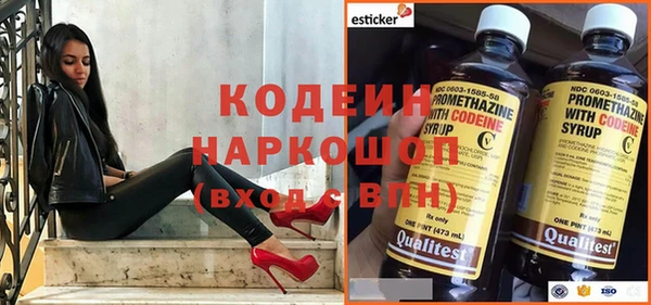 прущие грибы Аркадак