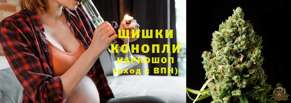 прущие грибы Аркадак